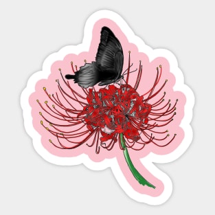 Butterfly Sticker